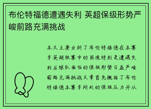 布伦特福德遭遇失利 英超保级形势严峻前路充满挑战