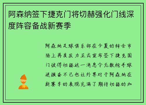 阿森纳签下捷克门将切赫强化门线深度阵容备战新赛季