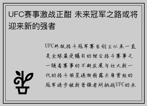 UFC赛事激战正酣 未来冠军之路或将迎来新的强者