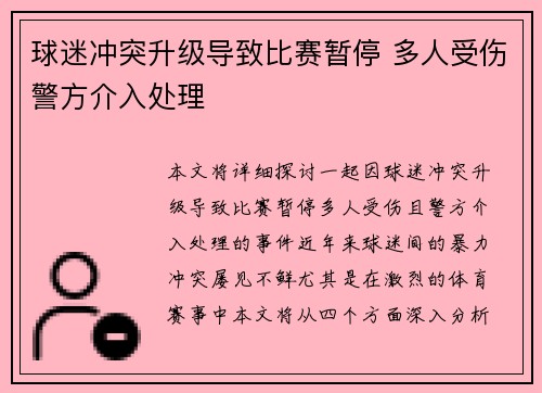 球迷冲突升级导致比赛暂停 多人受伤警方介入处理