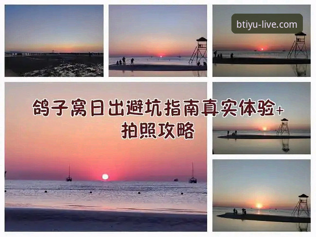 深度揭秘：B体育手机版安全吗？一位新手的真实体验与完整指南